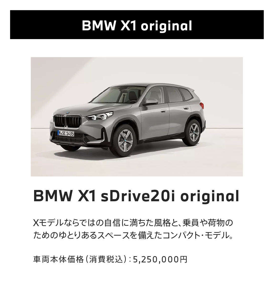 BMW X1 original