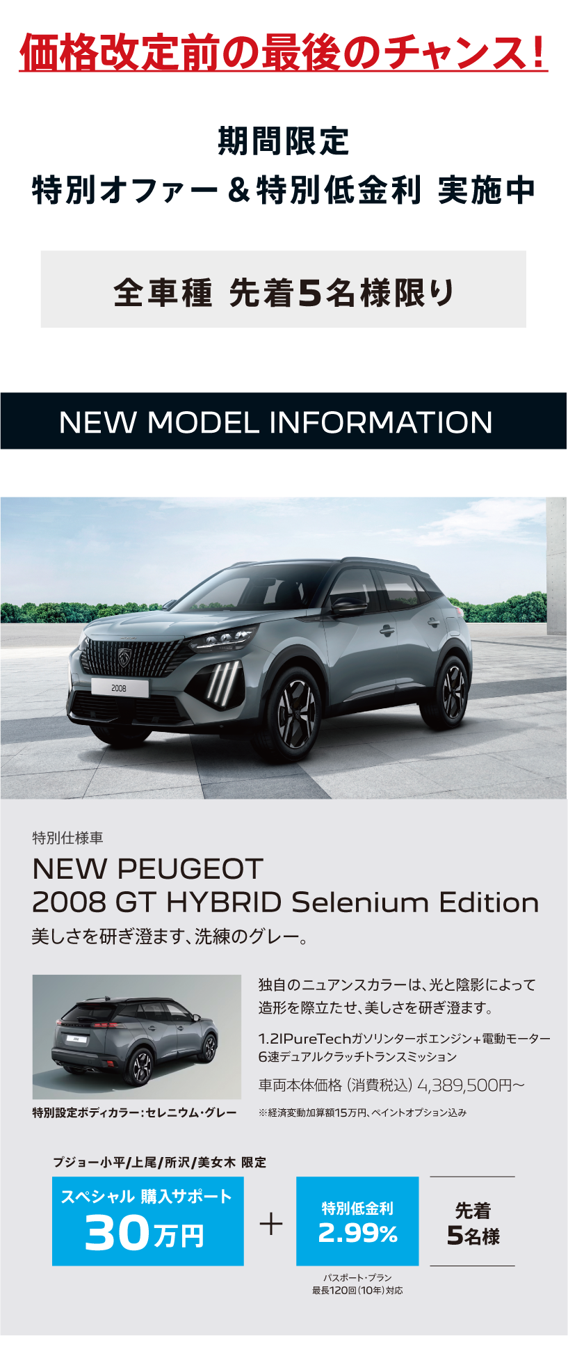 NEW PEUGEOT　2008 GT HYBRID Selenium Edition
