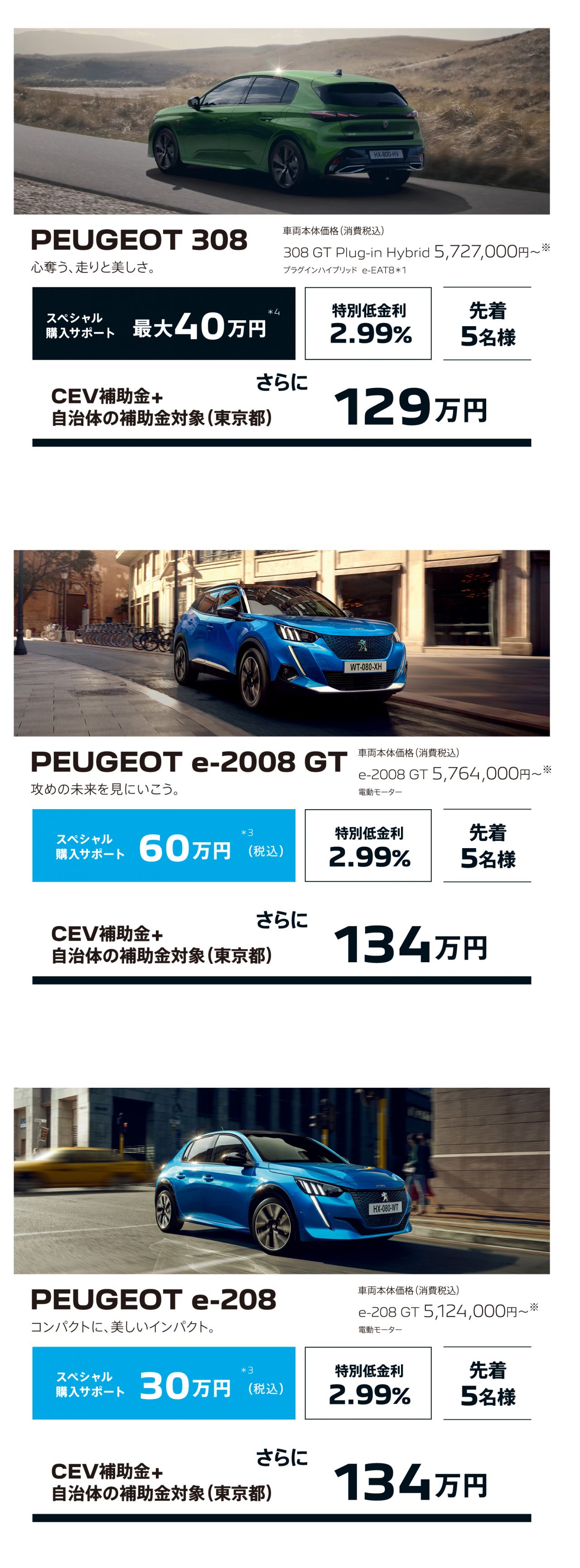 PEUGEOT 308