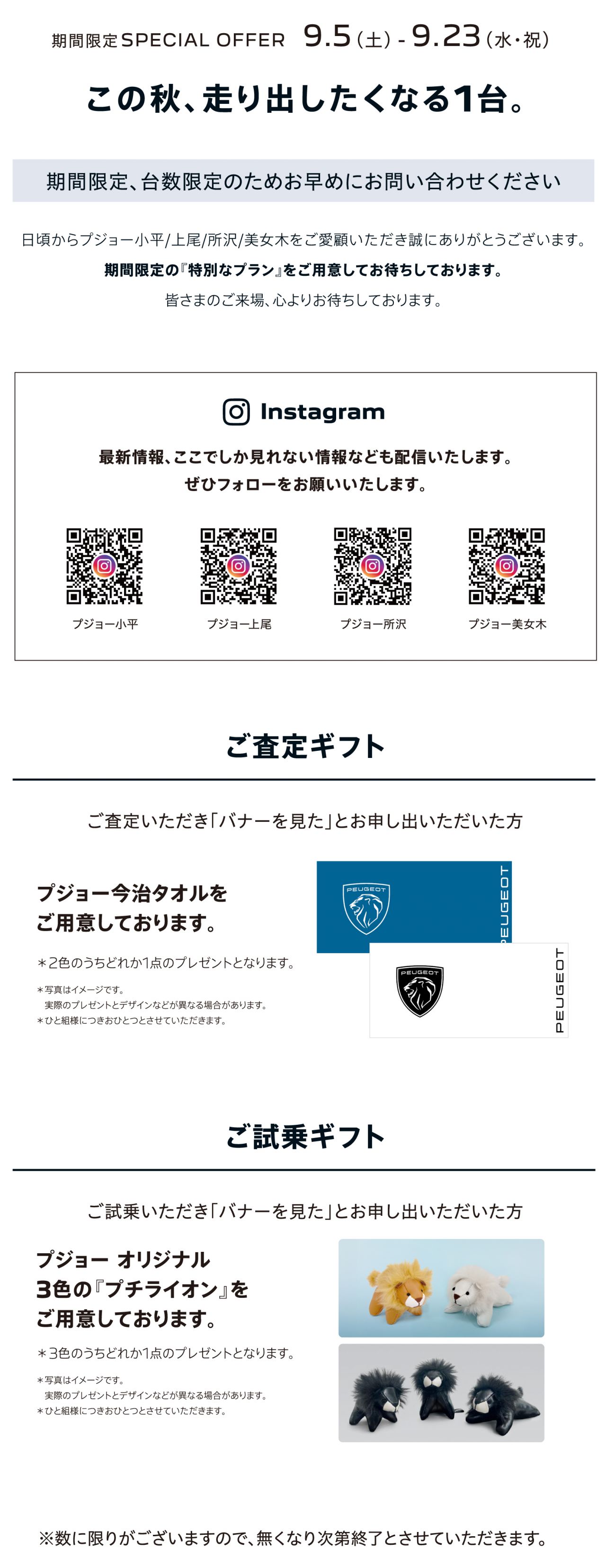 期間限定SPECIAL OFFER